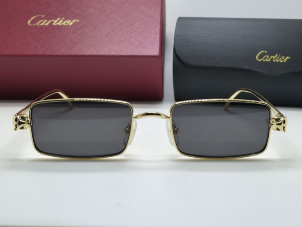 ОЧКИ CARTIER  74915 фото анонса