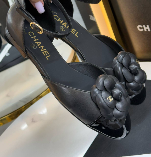 БАЛЕТКИ CHANEL  76005 фото анонса