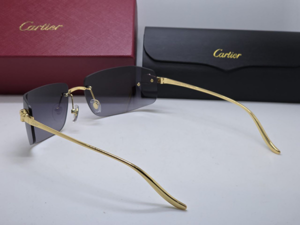 ОЧКИ CARTIER  74920 фото анонса