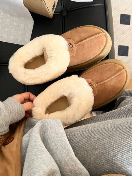 УГГИ UGG 54742 фото анонса