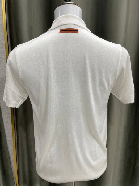 МУЖСКОЕ ПОЛО ZEGNA  74414 фото анонса