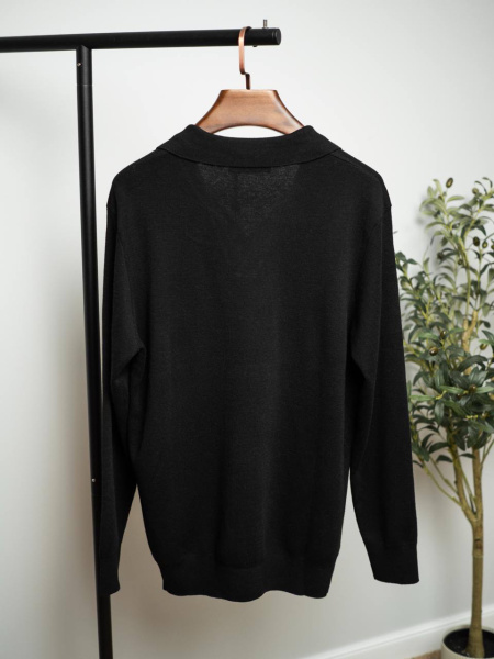 МУЖСКОЕ ПОЛО LORO PIANA  80069 фото анонса