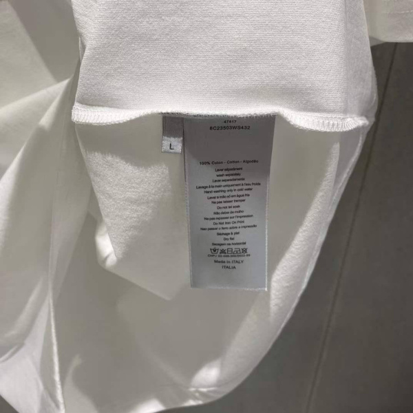 МУЖСКАЯ ФУТБОЛКА CHRISTIAN DIOR  73364 фото анонса