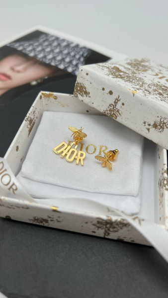 СЕРЬГИ DIOR 74229 фото анонса