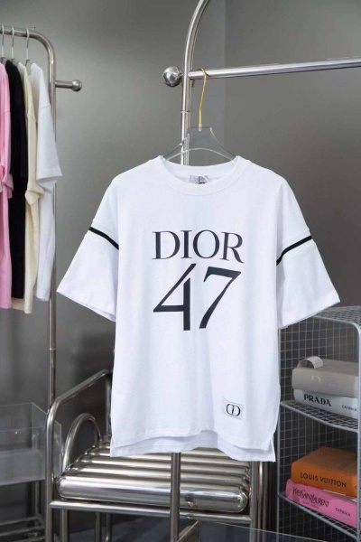 МУЖСКАЯ ФУТБОЛКА CHRISTIAN DIOR  68348 фото анонса