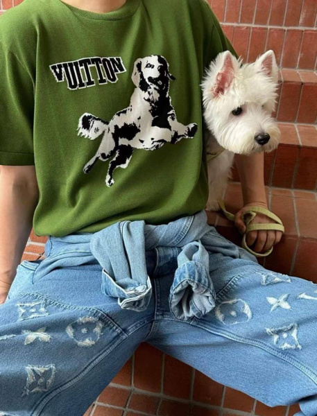 МУЖСКАЯ ФУТБОЛКА LOUIS VUITTON  72897 фото анонса