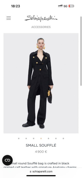 СУМКА SCHIAPARELLI  76318 фото анонса