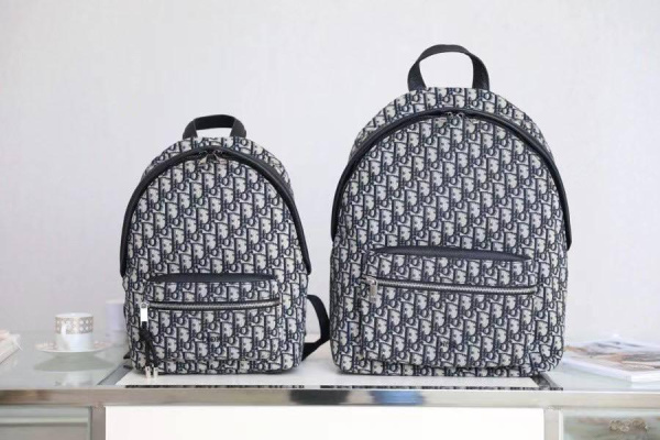 РЮКЗАК CHRISTIAN DIOR 41964 фото анонса