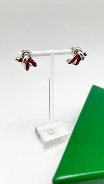 СЕРЬГИ BOTTEGA VENETA 74431 фото анонса