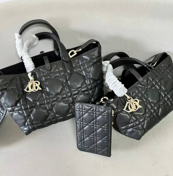 СУМКА CHRISTIAN DIOR TOUJOUPS  61858 фото анонса