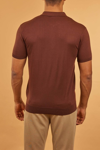 МУЖСКОЕ ПОЛО BRIONI  74658 фото анонса