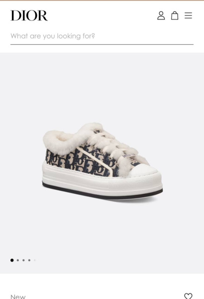 КЕДЫ CHRISTIAN DIOR  63242 фото анонса