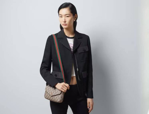 СУМКА GUCCI  62986 фото анонса