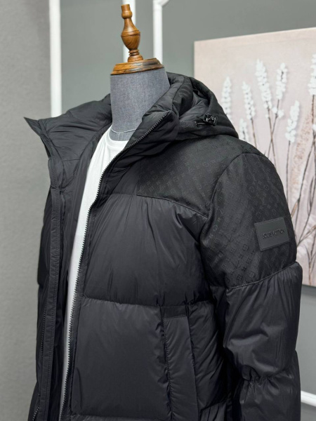 МУЖСКОЙ ПУХОВИК LOUIS VUITTON  72123 фото анонса
