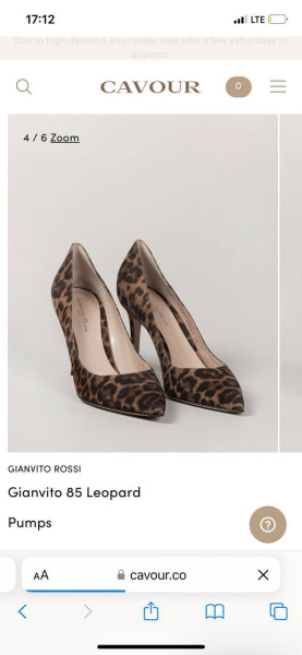 ТУФЛИ GIANVITO ROSSI  64680 фото анонса
