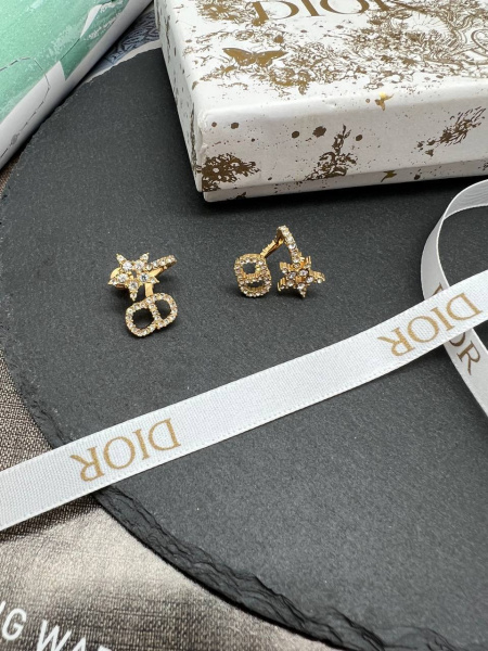 СЕРЬГИ DIOR 74143 фото анонса