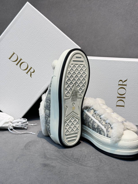 КЕДЫ CHRISTIAN DIOR  71590 фото анонса