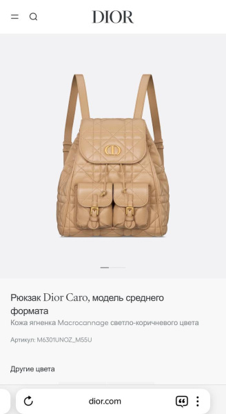 РЮКЗАК CHRISTIAN DIOR  77175 фото анонса