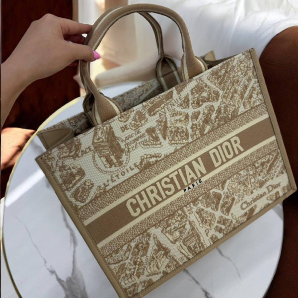 СУМКА CHRISTIAN DIOR BOOK 