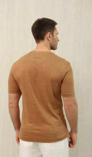 МУЖСКАЯ ФУТБОЛКА ZEGNA  75238 фото анонса