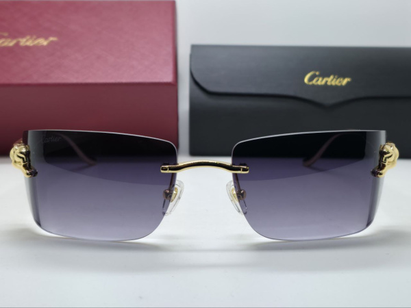 ОЧКИ CARTIER  74920 фото анонса