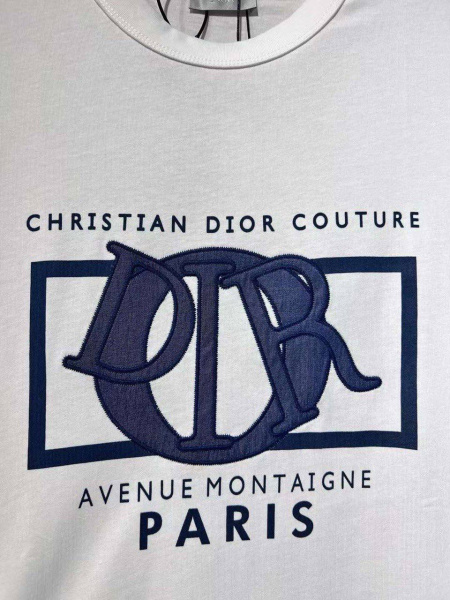 МУЖСКАЯ ФУТБОЛКА CHRISTIAN DIOR  68352 фото анонса