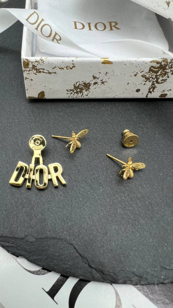 СЕРЬГИ DIOR 74229 фото анонса