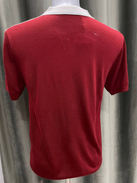 МУЖСКОЕ ПОЛО LORO PIANA  74408 фото анонса