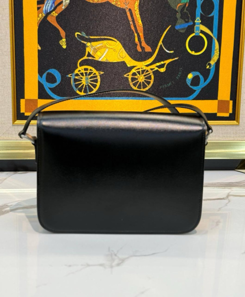 СУМКА CELINE TRIOMPHE  66067 фото анонса